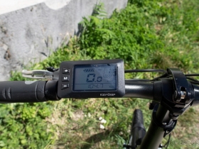 bizobike-7even-4.jpg